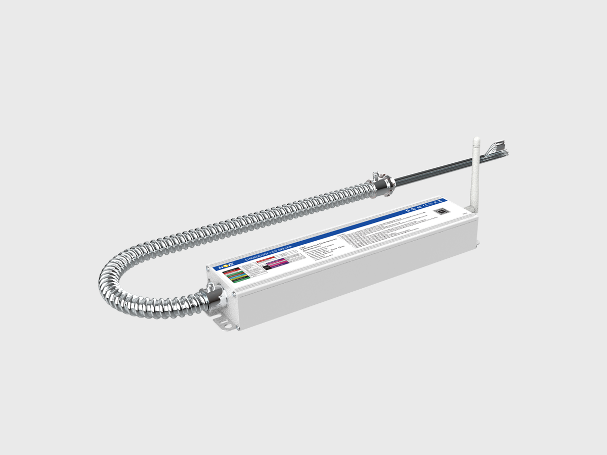 HSE-EIA-01S(1).png